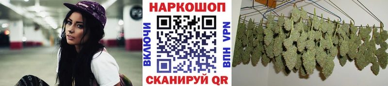 Где продают наркотики Назарово A-PVP  COCAIN  Бутират  МАРИХУАНА  ГАШИШ  Меф 