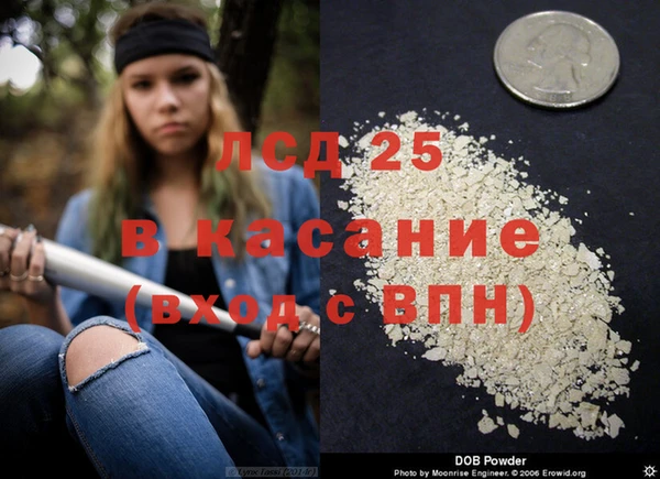 шишки Волоколамск