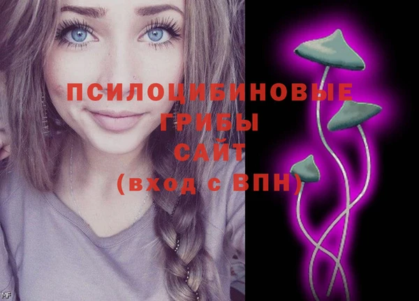шишки Волоколамск